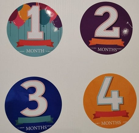 Birth Milestone Month Stickers